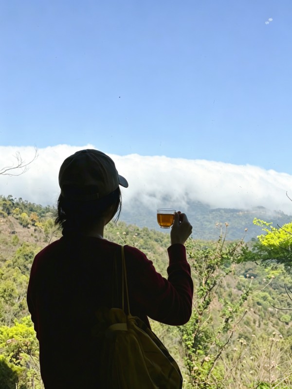 山顶的观景台，是俯瞰整座城市的绝佳位置，寻一处喝茶地，一边喝着茶，一边或远眺城市，或揽山间美景，还有什么比这更有松弛感的呢！