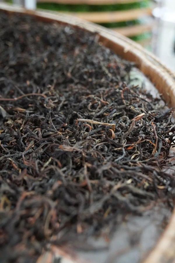 采摘下来的新鲜茶青，会第一时间运往加工车间，经过晾青（萎凋）——揉捻——发酵——上焙等工艺制作，最大程度保留茶叶本真滋味。