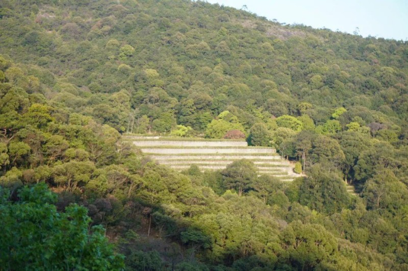 顺着上行石阶，出梅园；往灵源洞方向，寻找“爱茶之人”蔡襄足迹。在通往灵源洞的木栈道上可远眺水晶茶园。