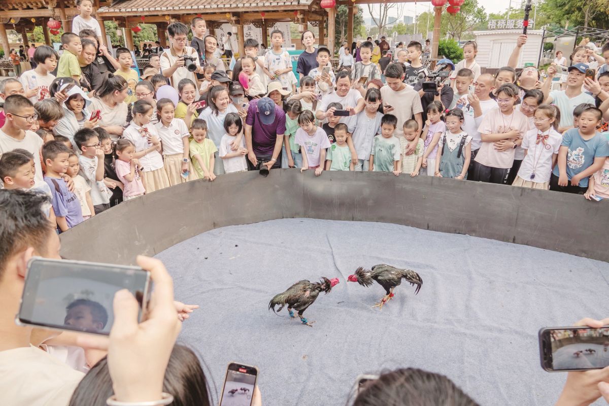 漳州:百姓大舞台 非遗斗阵来