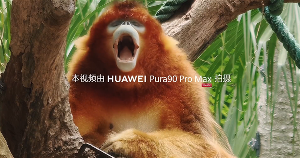 华为Pura 90 Pro Max首次搭载2亿像素长焦：支持20倍长焦视频拍摄