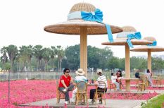 福建漳州：昔日滩涂换新颜 生态岸线入画来