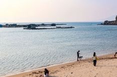 太鲜了！福州连江“海鲜盲盒”来了！