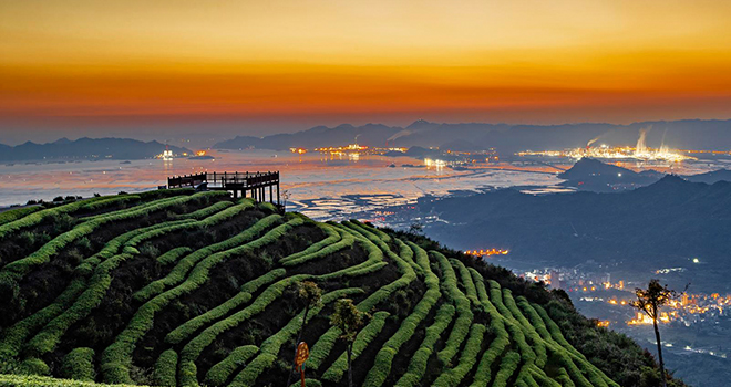 踏青好去处!连江炉峰山茶山风光如画