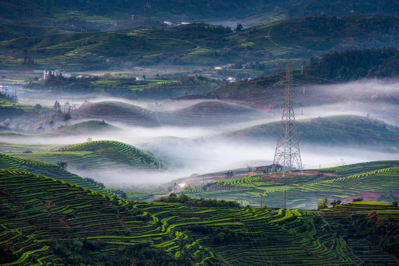 清晨的炉峰山被薄雾轻笼，像是覆上了一层朦胧而温柔的白纱。