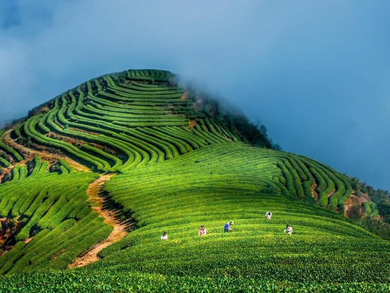 清晨的炉峰山被薄雾轻笼，像是覆上了一层朦胧而温柔的白纱。