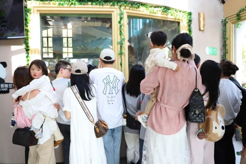 熊猫世界的熊猫深受市民喜爱。