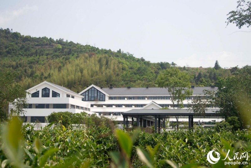 云岭茶庄园开辟餐饮、住宿、研学等多元业态，构建茶文旅“三产融合”发展格局。人民网 林铭贤 摄