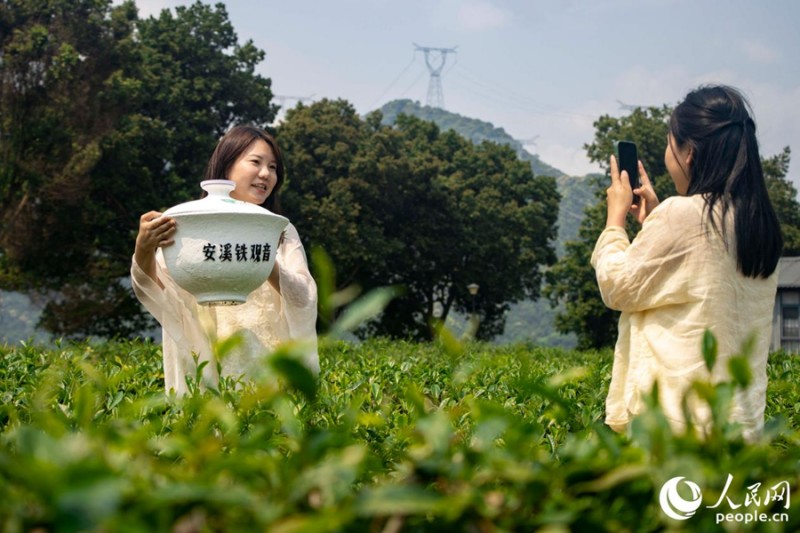 游客正在“打卡”生态茶园。人民网 林铭贤 摄