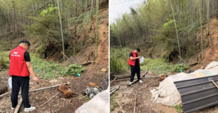 人保财险南平顺昌支公司：高效协同护民生 扎实推进脱贫帮扶养殖险理赔