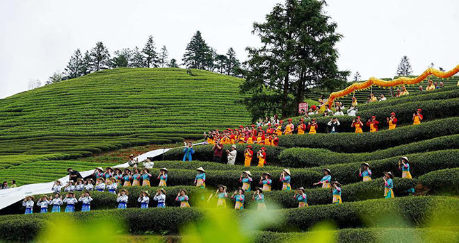 “两岸茶香 共游茶园”活动在武夷山市星村镇举行