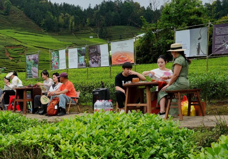 4月15日，两岸茶人在福建省武夷山市星村镇一处茶园摆茶席。新华社发（陈颖 摄）