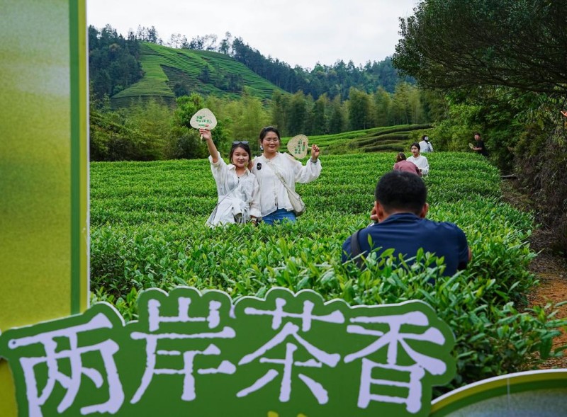 4月15日，游客在茶园拍照留影。新华社发（陈颖 摄）