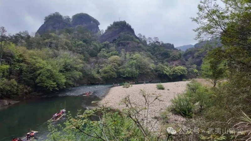 春日里的武夷山草木葱茏，绿意盎然。