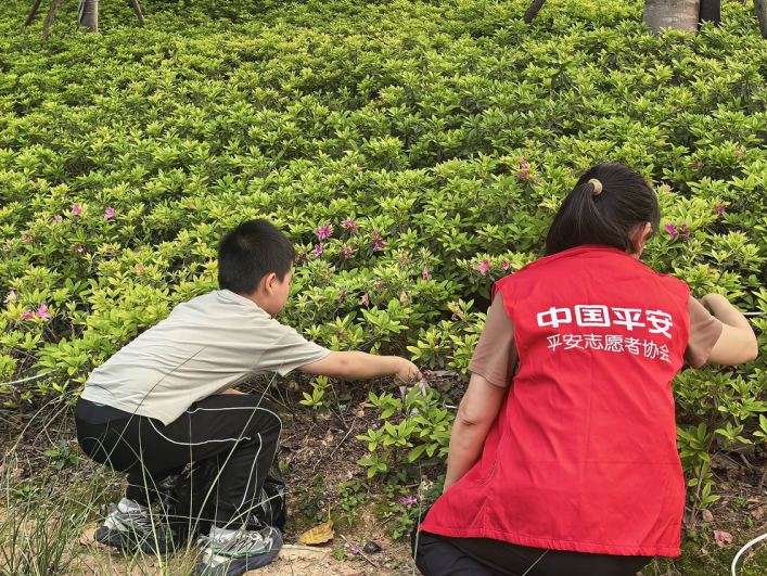 平安产险泉州中心支公司：守护“童”行绘绿韵 共筑地球新未来