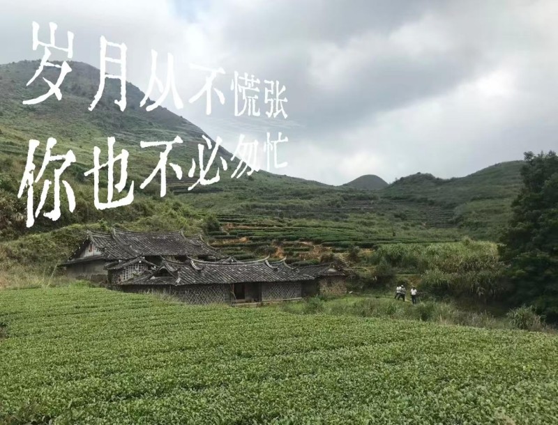 如果你总在追问结果答案却迟迟不来，岁月从不慌张，你也不必匆忙。