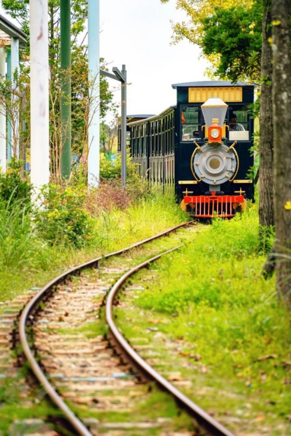 乘着小火车，登上草场高处，便是满眼的芳草连天 图源：文旅宁德