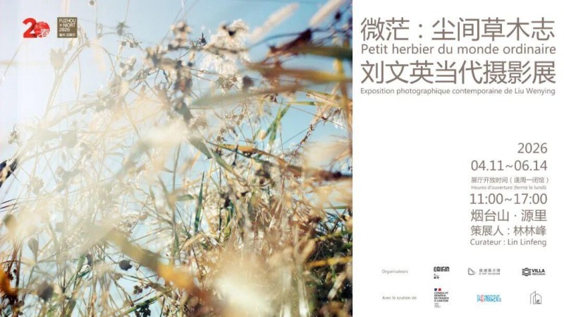 微茫：尘间草木志—刘文英摄影展。记者 郑帅 摄