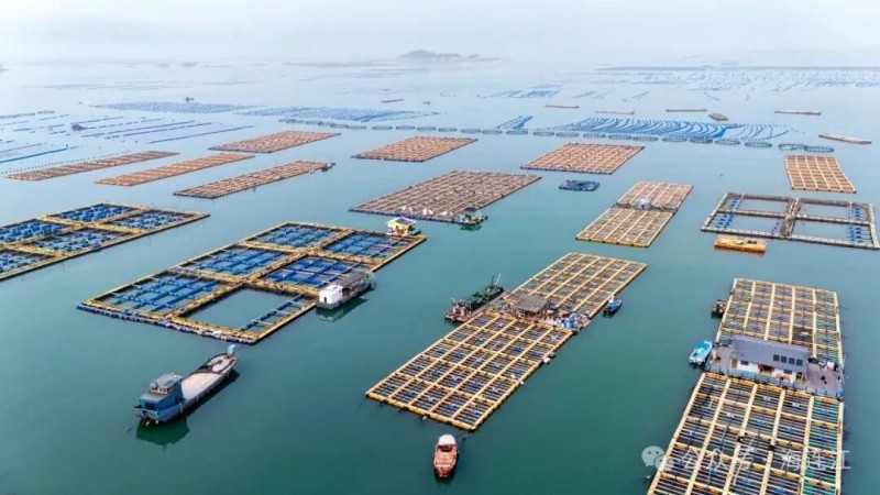 从“单养一种”转向“一海多用”，连江创新探索立体化养殖模式，通过科学规划养殖布局、优化品种搭配，构建海域良性循环生态，实现了生态价值与经济价值的双重提升，绘就海洋渔业高质量发展的新篇章。