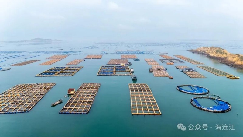 从“单养一种”转向“一海多用”，连江创新探索立体化养殖模式，通过科学规划养殖布局、优化品种搭配，构建海域良性循环生态，实现了生态价值与经济价值的双重提升，绘就海洋渔业高质量发展的新篇章。