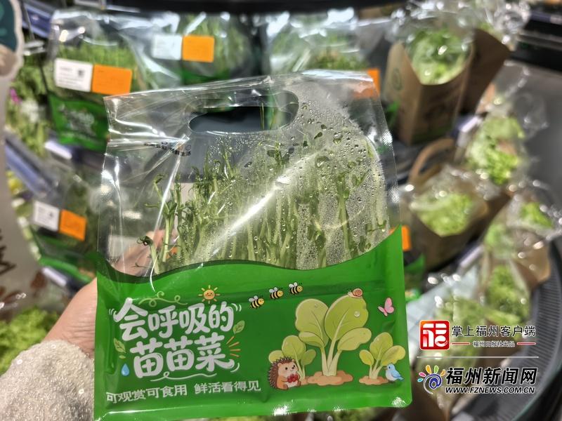 春日尝鲜正当时！福州芽苗菜销量比增20%