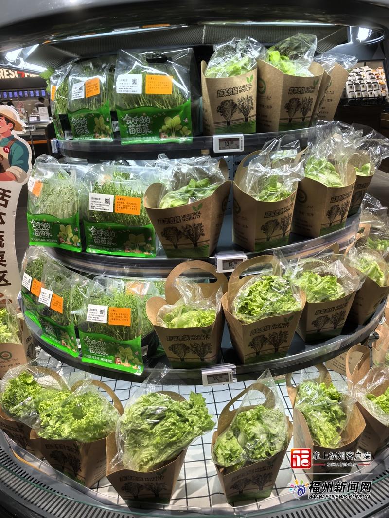 春日尝鲜正当时！福州芽苗菜销量比增20%