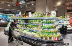 春日嘗鮮正當時！福州芽苗菜銷量比增20%