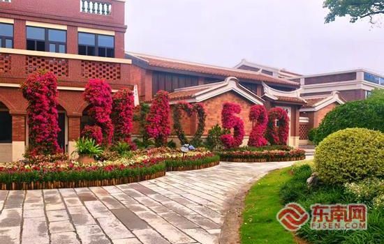 文旅采风走进漳州：龙江焕新颜 水乡藏古韵