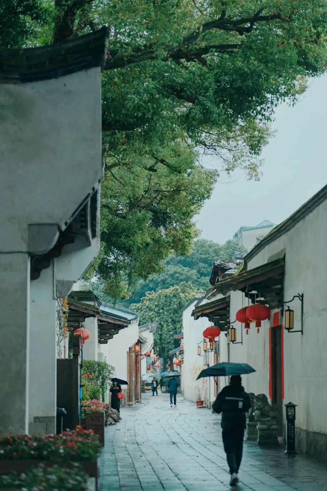 雨生百谷，盛夏將至