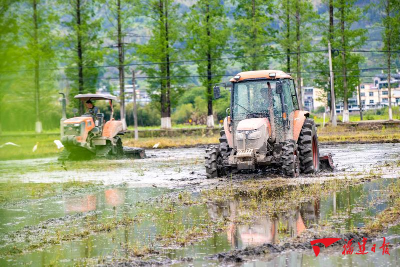 雨生百谷，盛夏將至