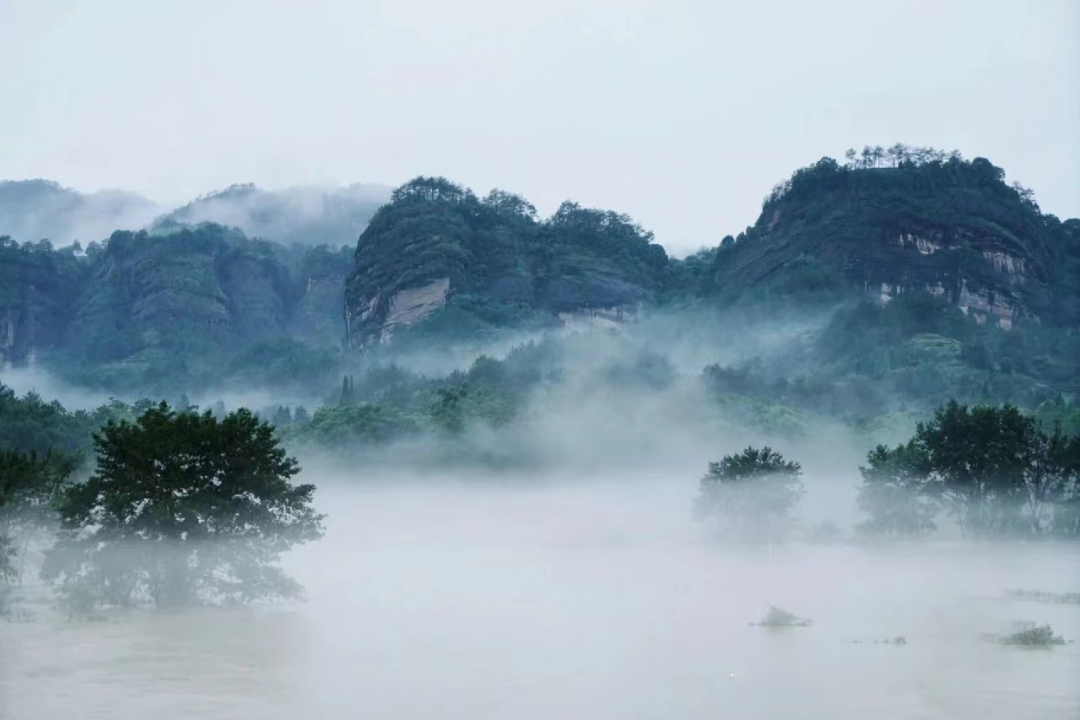 雨生百谷，盛夏將至