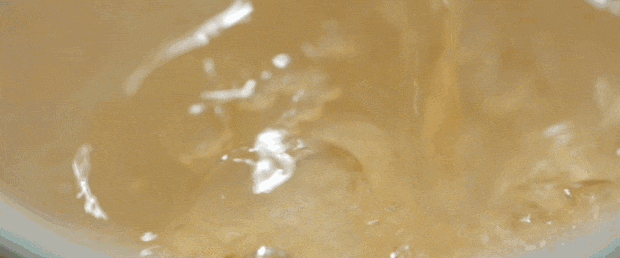 雨生百谷，盛夏將至