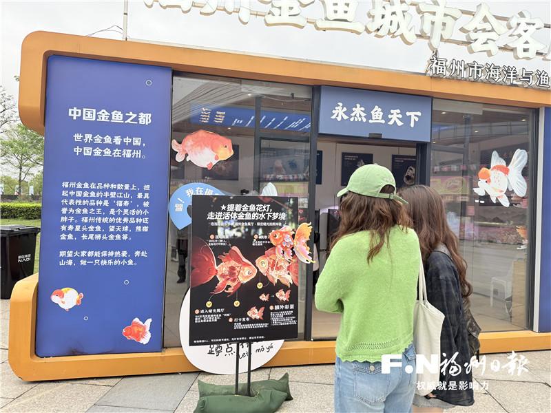 福州金鱼借音乐节&ldquo;出圈&rdquo;