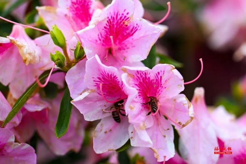 624584_4110253a-8fb4-4b20-a6cb-aa6e679a6f2c