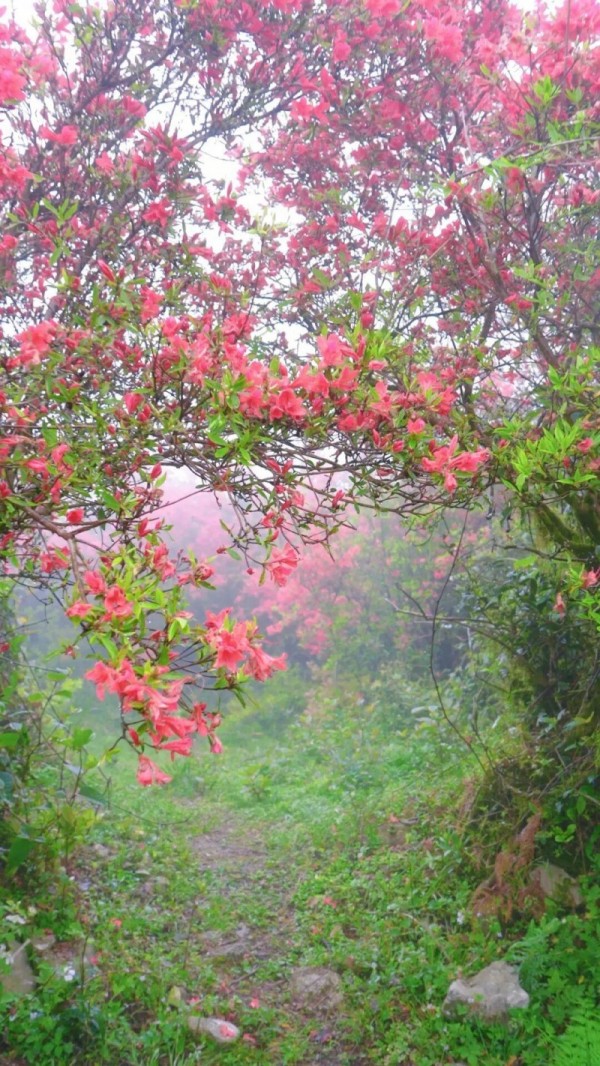 624584_bb3b0224-30d4-4d1e-b8f7-a9fc16af6c17