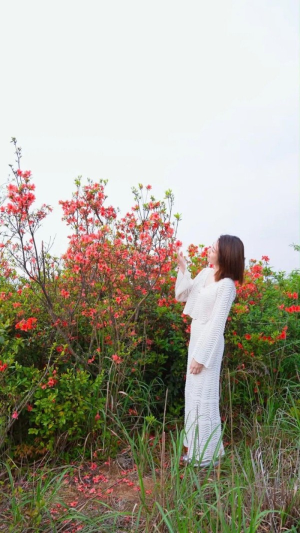 闽侯鸿尾、大湖罗汉台以及罗源碧里四季杜鹃谷的山野间，已被漫山遍野的杜鹃花点燃。记者 池远 摄