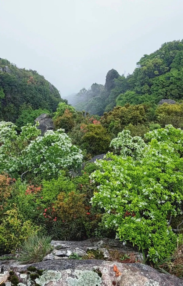 福州鼓岭柱里景区观日台。兰子 摄
