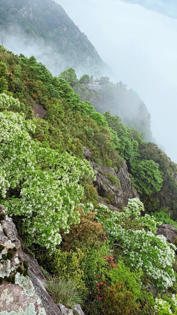 福州鼓岭柱里景区观日台。兰子 摄