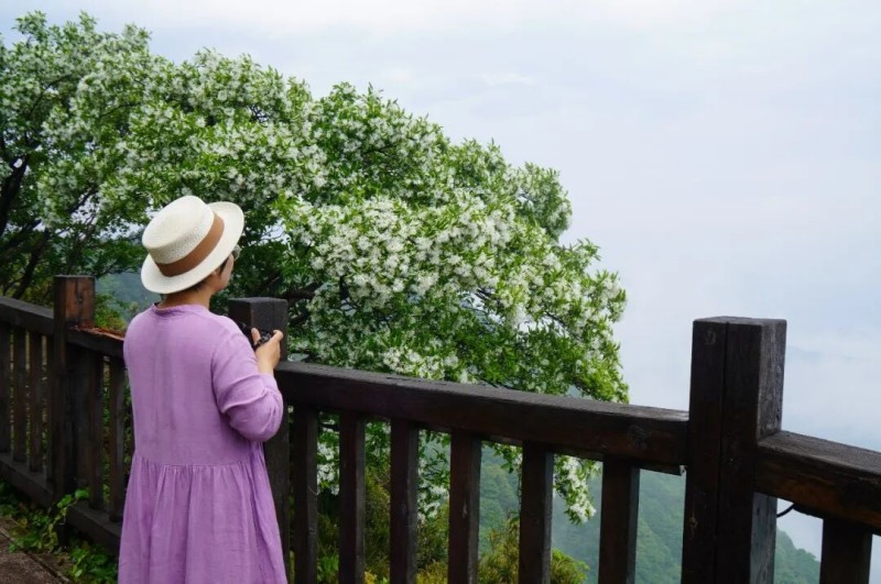 福州鼓岭柱里景区观日台。兰子 摄