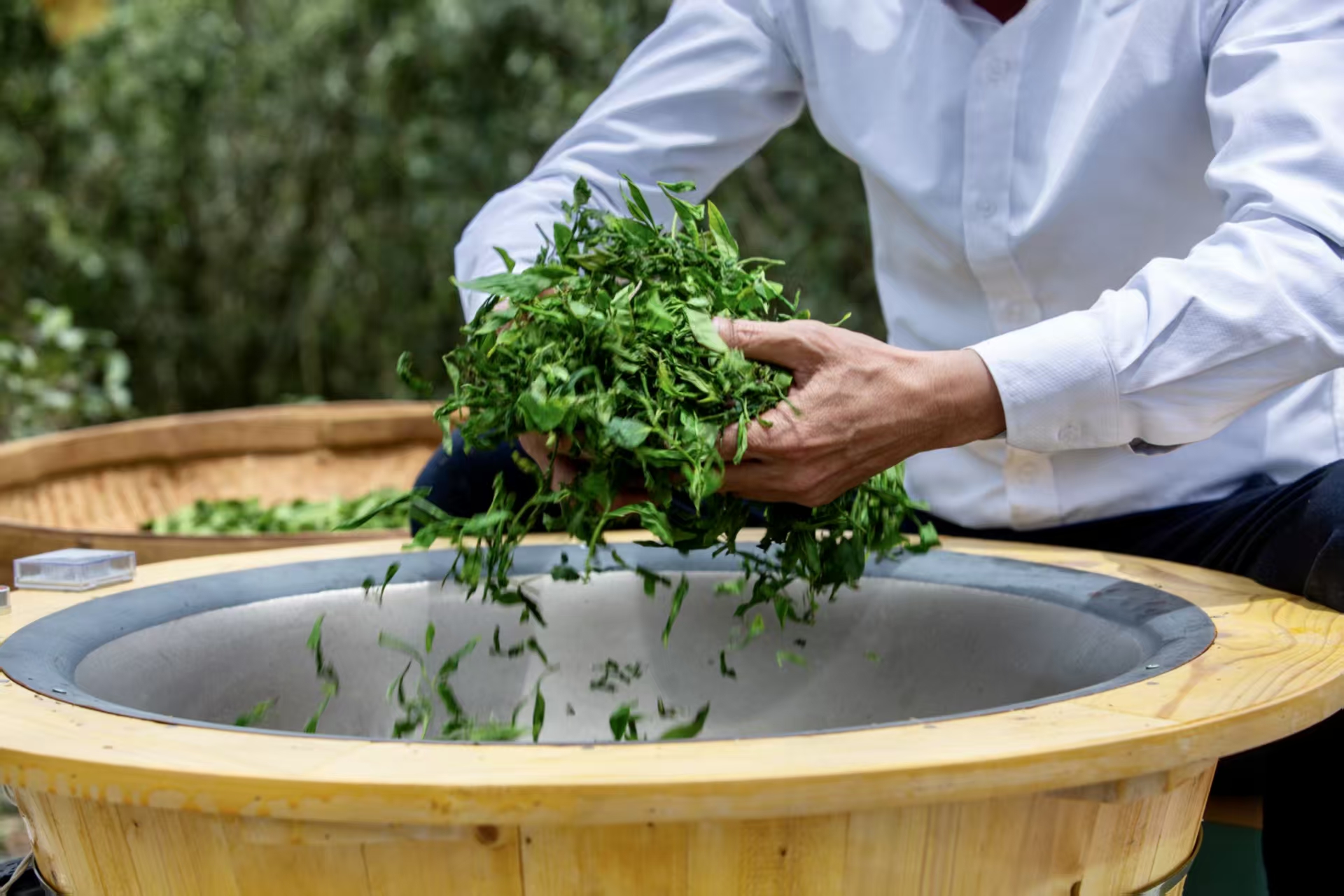 茶脉宁德丨天山茶与宁德历史文化名城的千年共生