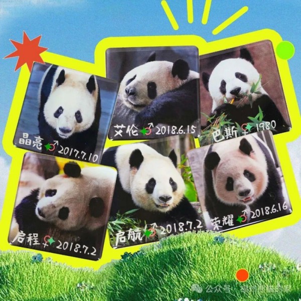 熊猫城市会客厅+首发周边+超100个sku闪现世欧。