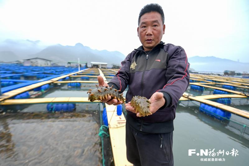 罗源鉴江创新开展立体养殖：海上“搭积木” 一参养三层