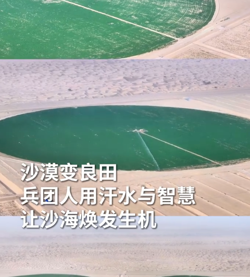 微信图片_20260423151139