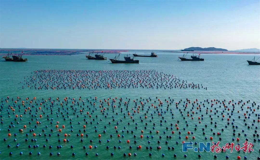 福建，向远、向深、向蓝