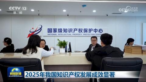 2025年我国知识产权发展成效显著