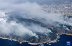 日本岩手县山火过火面积超200公顷