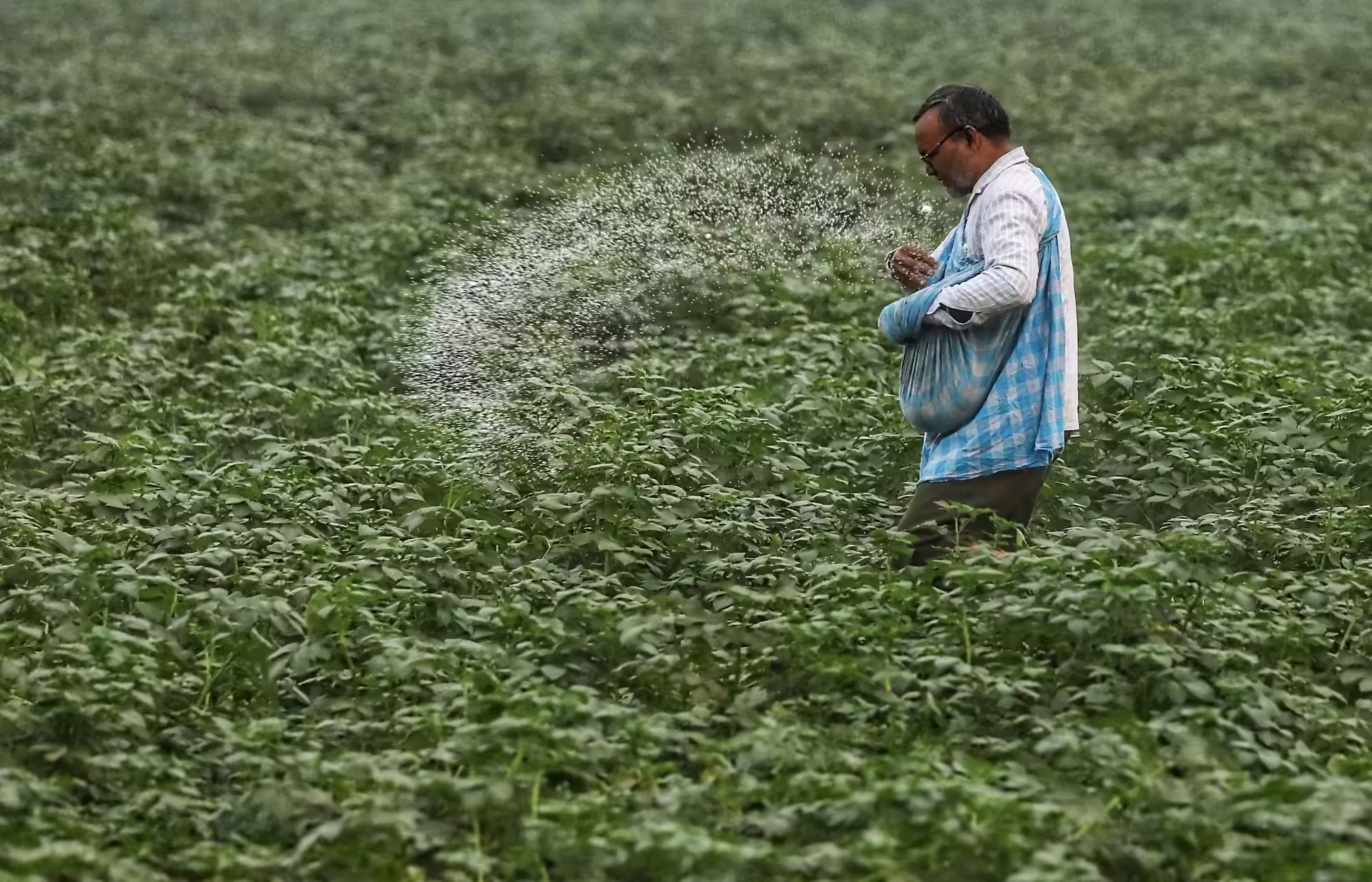 印度大举进口250万吨尿素 或加剧全球供应紧张