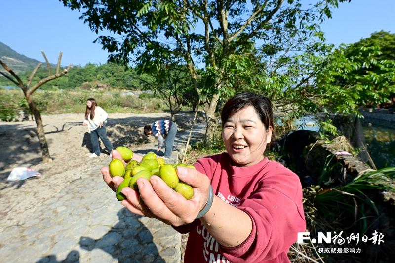 山海“双拼”，“特色菜”端上来——福州践行大食物观交出生动答卷