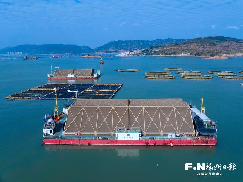 山海“双拼”，“特色菜”端上来——福州践行大食物观交出生动答卷