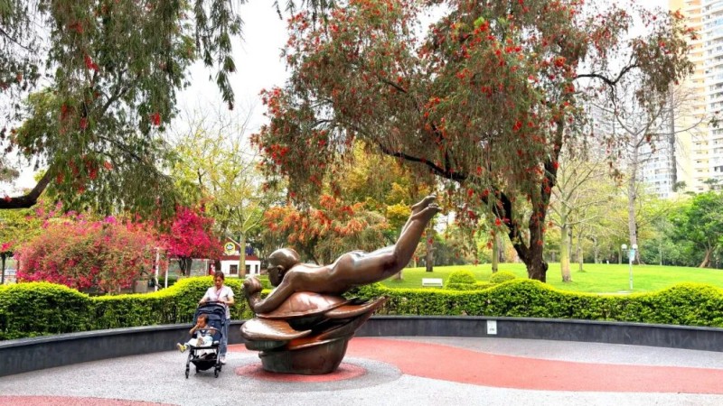 盛花期的红千层，花穗密密地从枝头舒展而出，层层叠叠的花丝组成细长花序，远看像一把把红色小刷子。